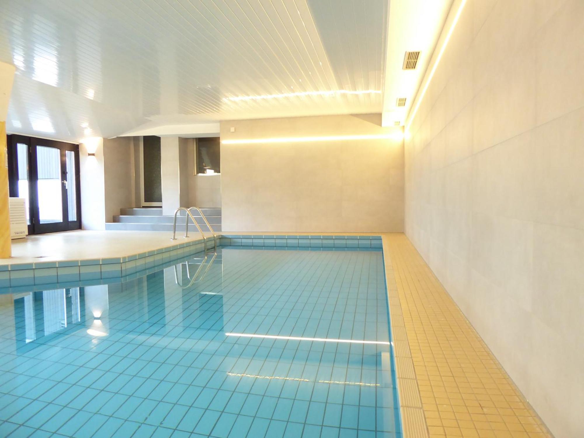 Mountain Suite Winterberg Pool Sauna Hund 4 Pers Wifi Near Bikepark Eksteriør bilde
